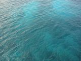 真っ青な海