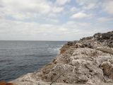 島はサンゴが隆起してできています