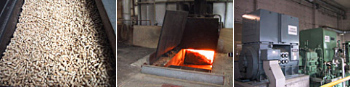 バイオマス燃料/燃焼中のボイラ炉内/蒸気タービン発電機