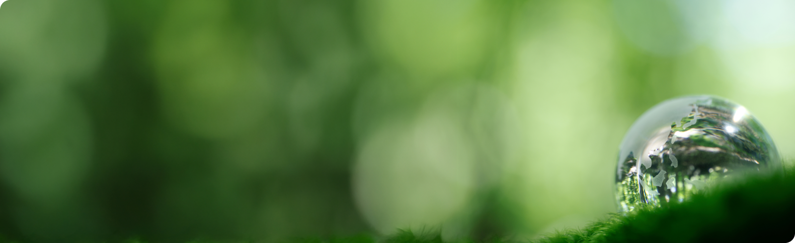 環境保護やエコロジーを連想させる抽象的なビジュアル