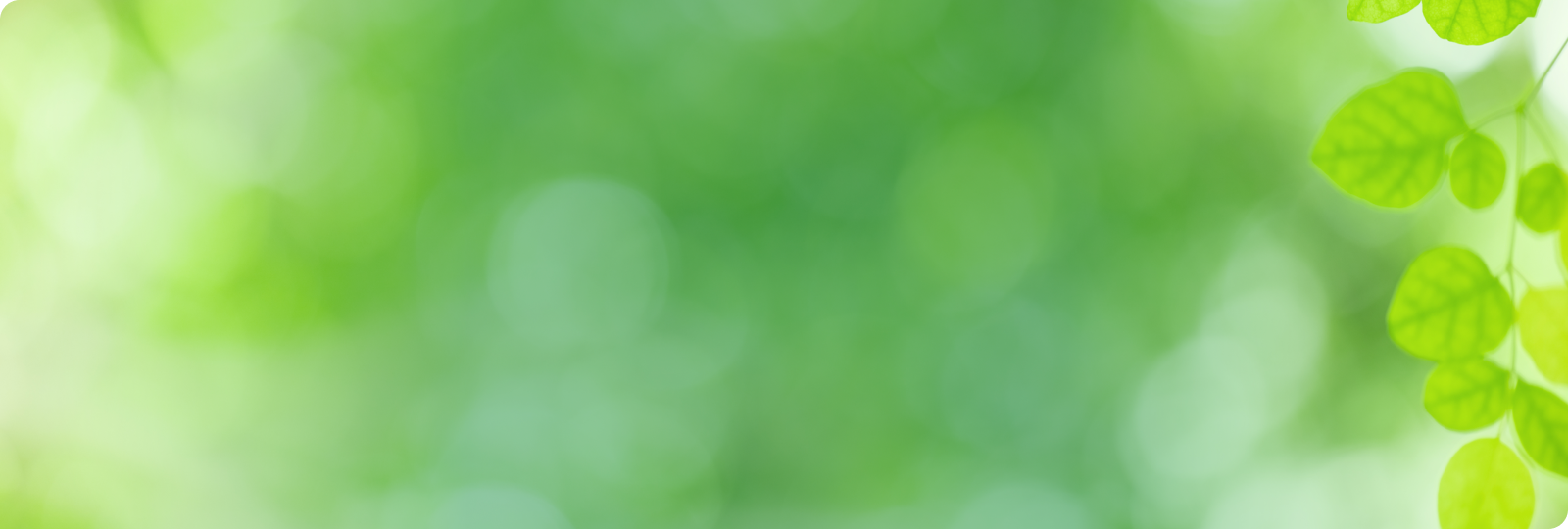 環境保護やエコロジーを連想させる抽象的なビジュアル