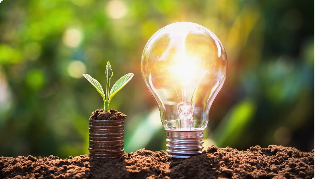 土の上に並ぶ電球と芽生えた植物が光に照らされているイメージ