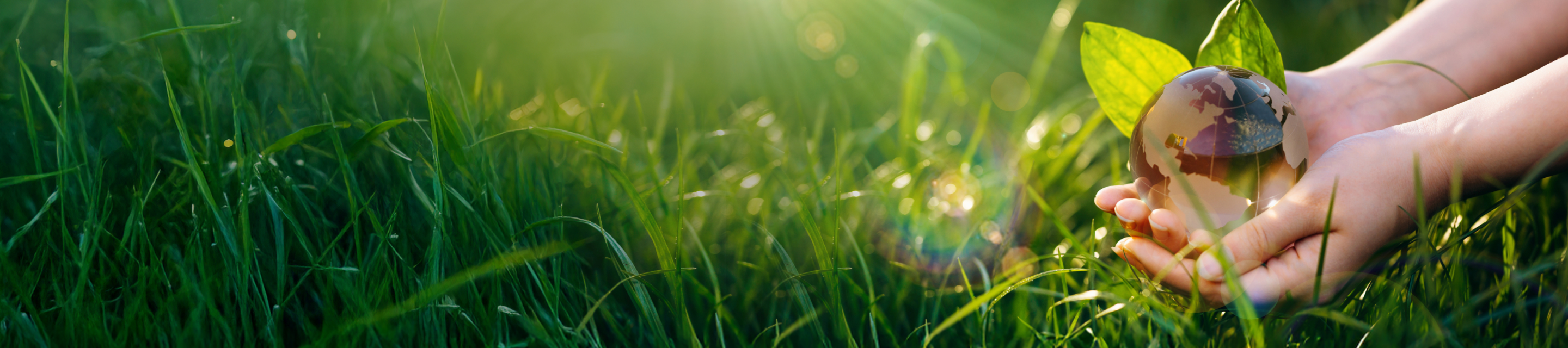 地球儀を持つ手と自然の背景